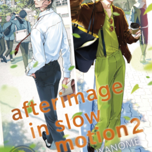 Afterimage In Slow Motion 02